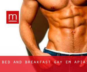 Bed and Breakfast Gay em Apiaí