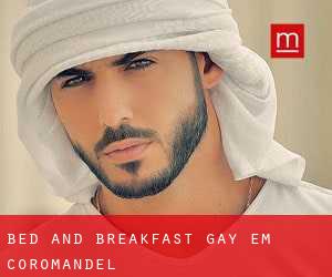 Bed and Breakfast Gay em Coromandel
