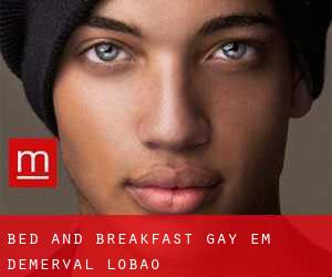 Bed and Breakfast Gay em Demerval Lobão