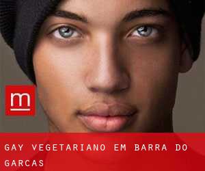 Gay Vegetariano em Barra do Garças