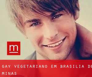 Gay Vegetariano em Brasília de Minas