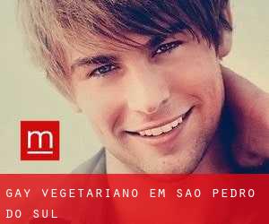Gay Vegetariano em São Pedro do Sul